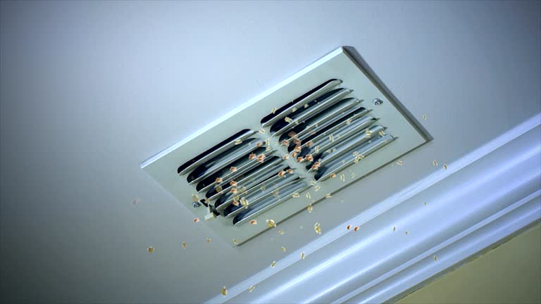  Thonotosassa, FL Airduct Cleaning Pros