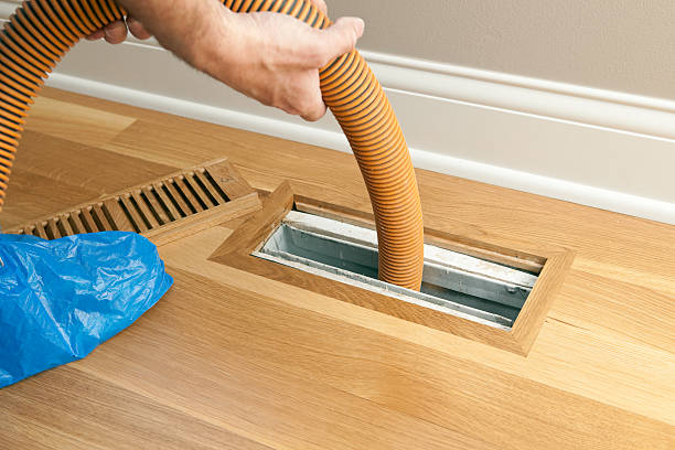 Best Professional Duct Cleaning Services  in Thonotosassa, FL