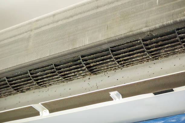 Best Ventilation Cleaning Services  in Thonotosassa, FL