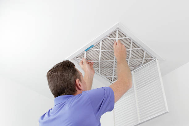 Best Affordable Duct Cleaning Services  in Thonotosassa, FL